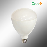 E40 LED High Bay Bulb (Non Dimmable)